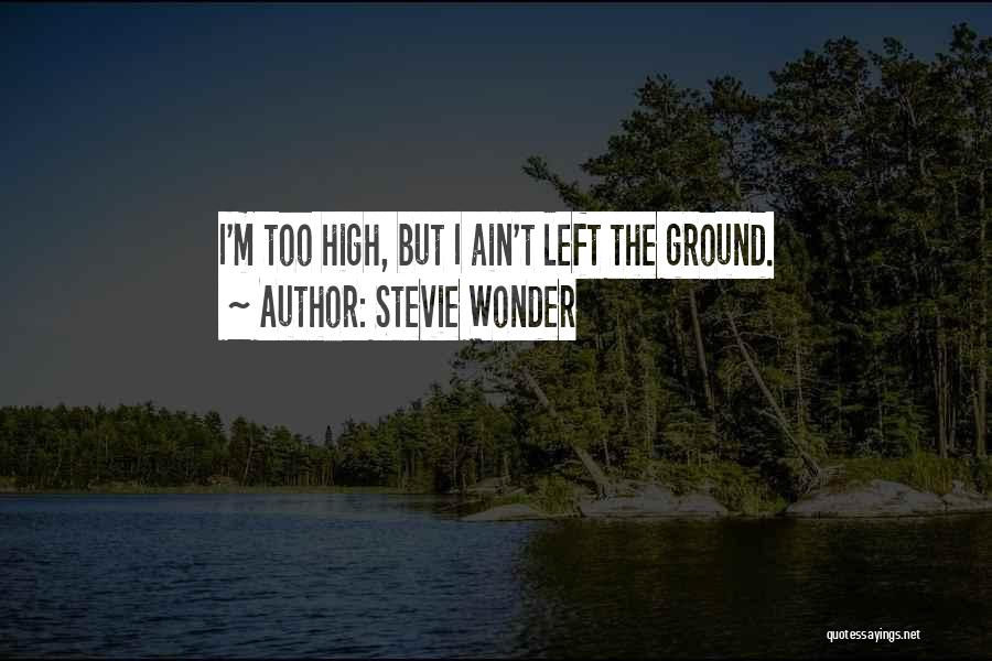 Stevie Wonder Quotes: I'm Too High, But I Ain't Left The Ground.