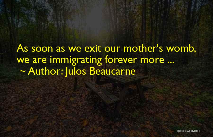 Julos Beaucarne Quotes: As Soon As We Exit Our Mother's Womb, We Are Immigrating Forever More ...