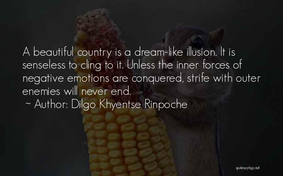 Dilgo Khyentse Rinpoche Quotes: A Beautiful Country Is A Dream-like Illusion. It Is Senseless To Cling To It. Unless The Inner Forces Of Negative