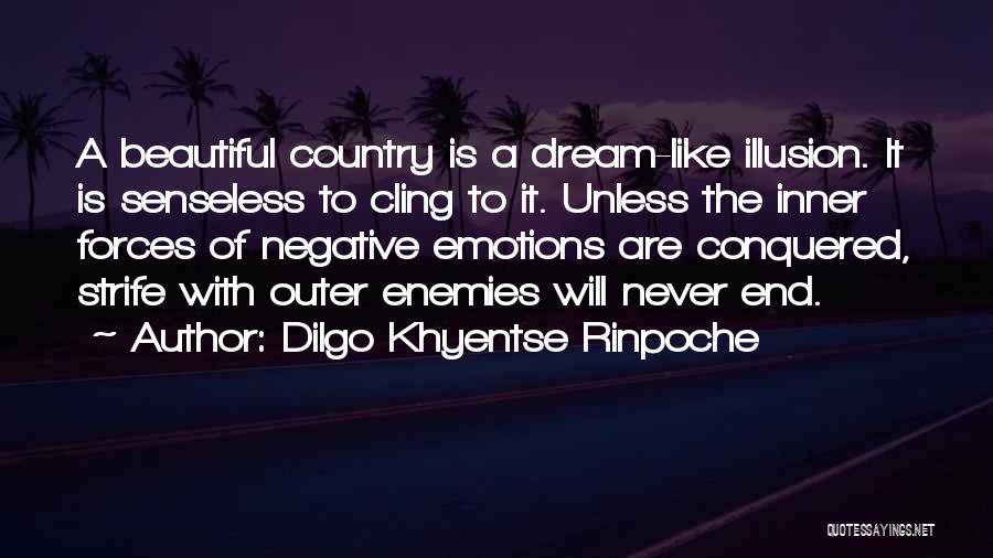 Dilgo Khyentse Rinpoche Quotes: A Beautiful Country Is A Dream-like Illusion. It Is Senseless To Cling To It. Unless The Inner Forces Of Negative