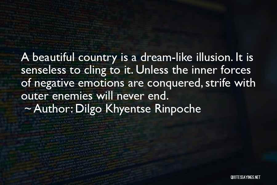 Dilgo Khyentse Rinpoche Quotes: A Beautiful Country Is A Dream-like Illusion. It Is Senseless To Cling To It. Unless The Inner Forces Of Negative