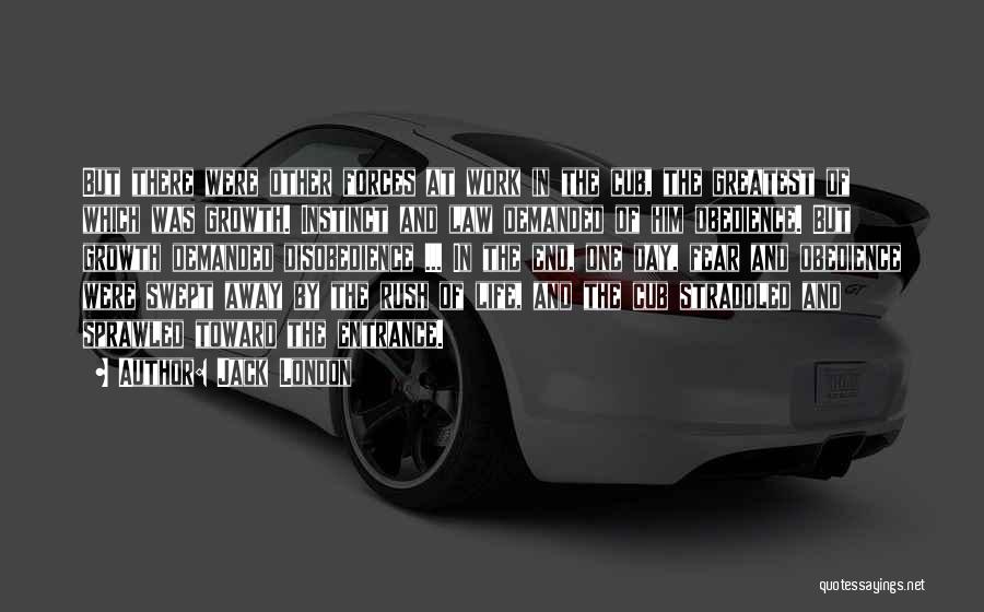 Jack London Quotes: But There Were Other Forces At Work In The Cub, The Greatest Of Which Was Growth. Instinct And Law Demanded