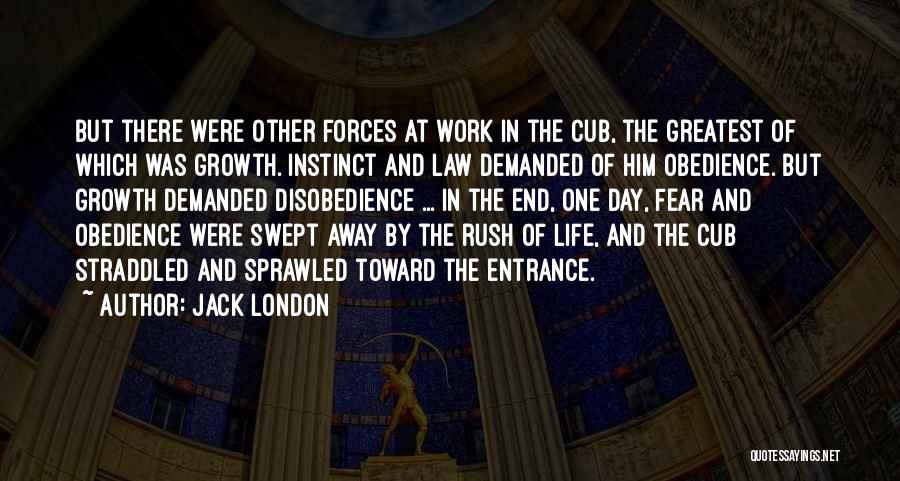 Jack London Quotes: But There Were Other Forces At Work In The Cub, The Greatest Of Which Was Growth. Instinct And Law Demanded