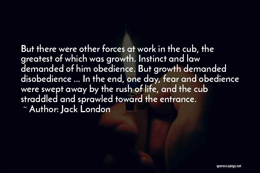 Jack London Quotes: But There Were Other Forces At Work In The Cub, The Greatest Of Which Was Growth. Instinct And Law Demanded
