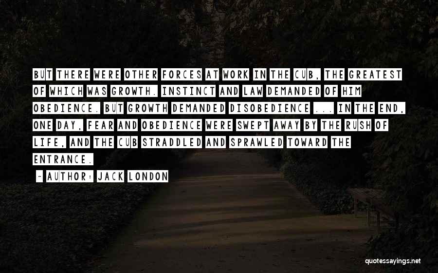 Jack London Quotes: But There Were Other Forces At Work In The Cub, The Greatest Of Which Was Growth. Instinct And Law Demanded