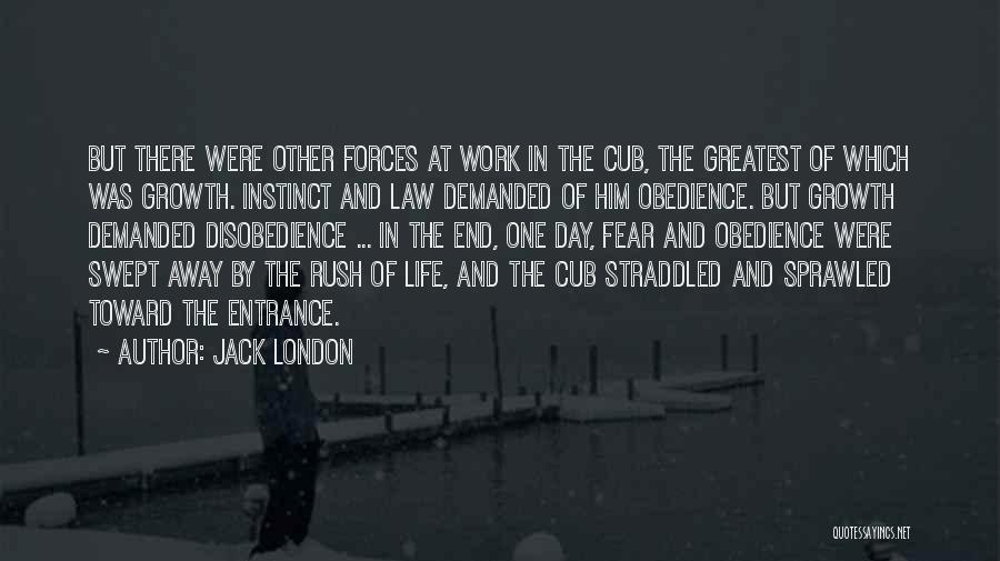 Jack London Quotes: But There Were Other Forces At Work In The Cub, The Greatest Of Which Was Growth. Instinct And Law Demanded