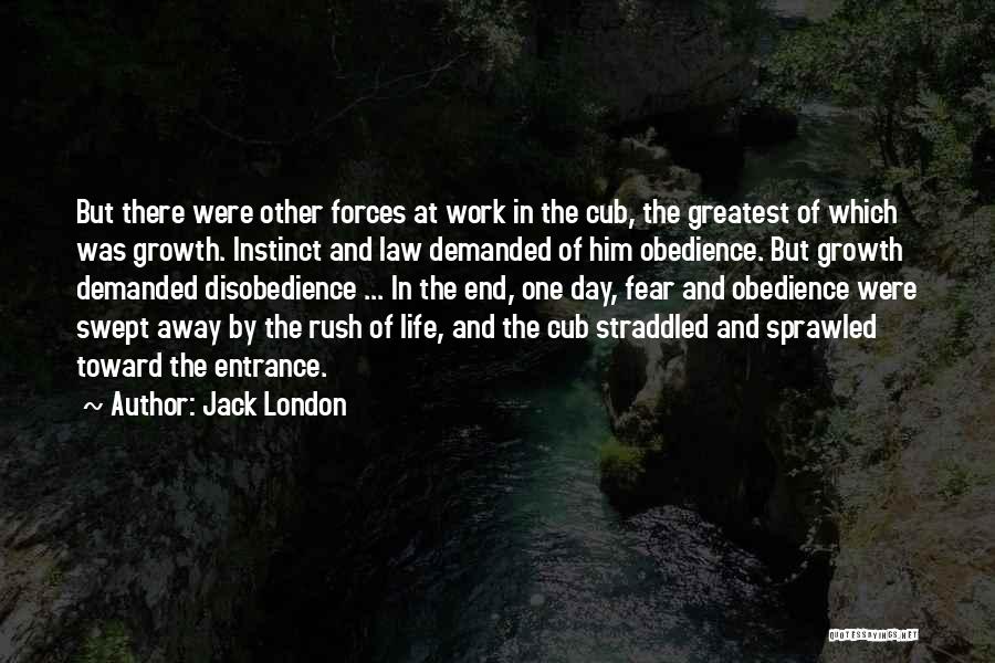 Jack London Quotes: But There Were Other Forces At Work In The Cub, The Greatest Of Which Was Growth. Instinct And Law Demanded