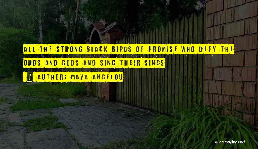 Maya Angelou Quotes: All The Strong Black Birds Of Promise Who Defy The Odds And Gods And Sing Their Sings