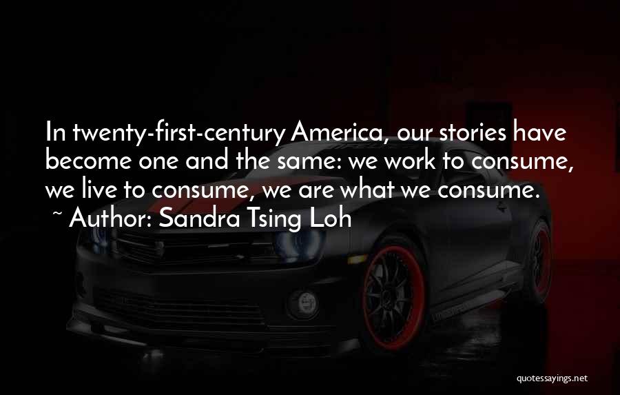 Sandra Tsing Loh Quotes: In Twenty-first-century America, Our Stories Have Become One And The Same: We Work To Consume, We Live To Consume, We
