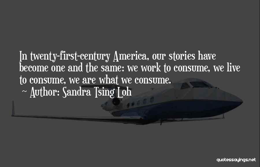 Sandra Tsing Loh Quotes: In Twenty-first-century America, Our Stories Have Become One And The Same: We Work To Consume, We Live To Consume, We