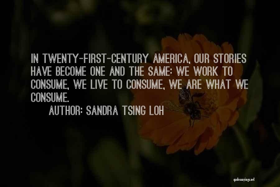 Sandra Tsing Loh Quotes: In Twenty-first-century America, Our Stories Have Become One And The Same: We Work To Consume, We Live To Consume, We