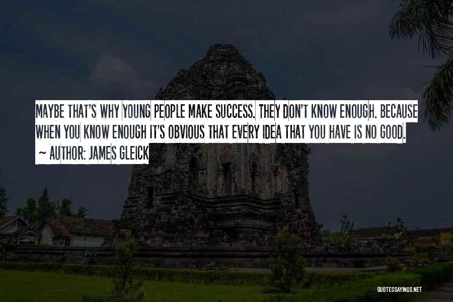 James Gleick Quotes: Maybe That's Why Young People Make Success. They Don't Know Enough. Because When You Know Enough It's Obvious That Every