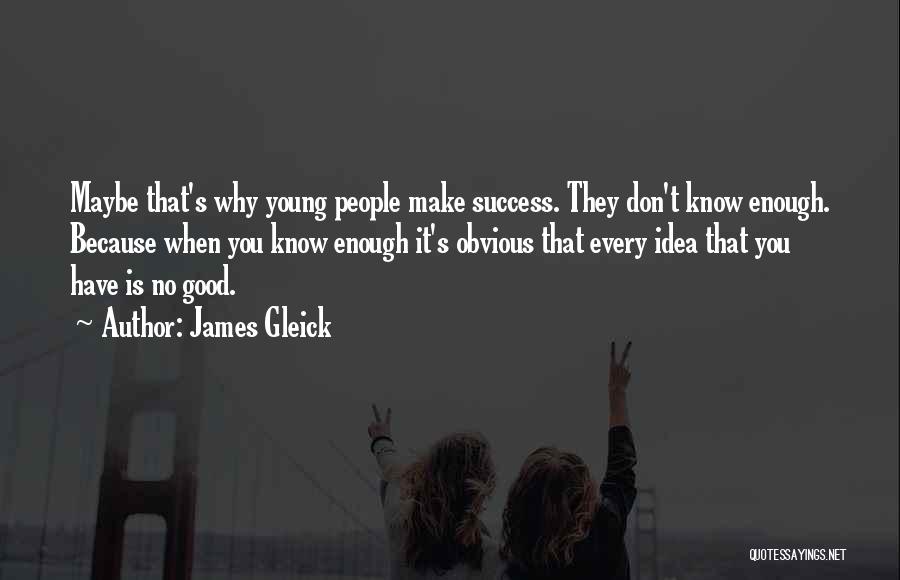 James Gleick Quotes: Maybe That's Why Young People Make Success. They Don't Know Enough. Because When You Know Enough It's Obvious That Every