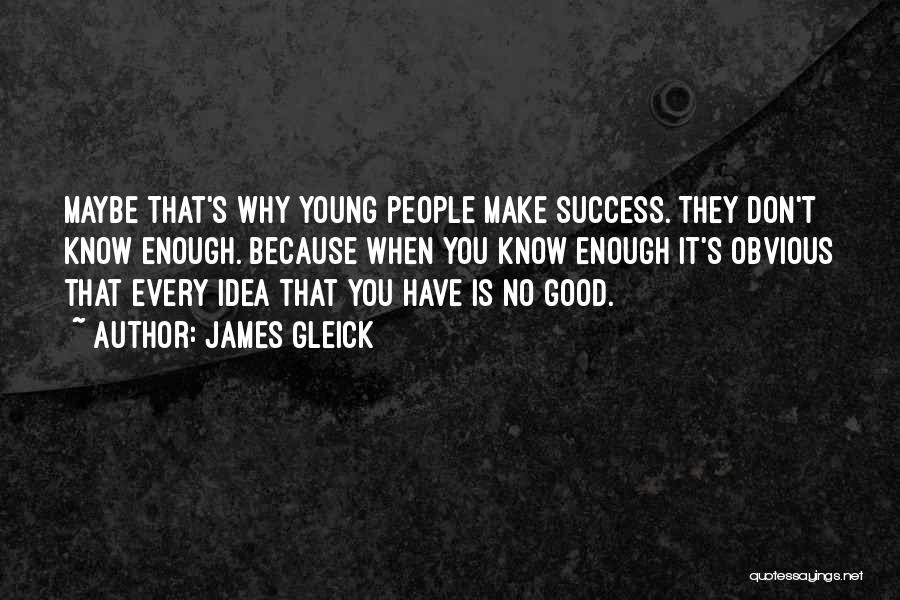 James Gleick Quotes: Maybe That's Why Young People Make Success. They Don't Know Enough. Because When You Know Enough It's Obvious That Every