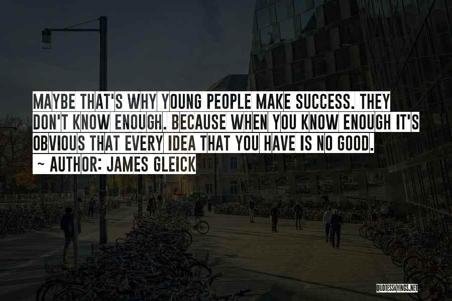 James Gleick Quotes: Maybe That's Why Young People Make Success. They Don't Know Enough. Because When You Know Enough It's Obvious That Every