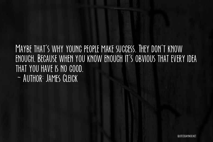 James Gleick Quotes: Maybe That's Why Young People Make Success. They Don't Know Enough. Because When You Know Enough It's Obvious That Every