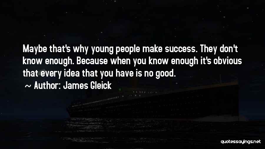 James Gleick Quotes: Maybe That's Why Young People Make Success. They Don't Know Enough. Because When You Know Enough It's Obvious That Every