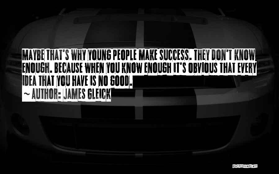 James Gleick Quotes: Maybe That's Why Young People Make Success. They Don't Know Enough. Because When You Know Enough It's Obvious That Every