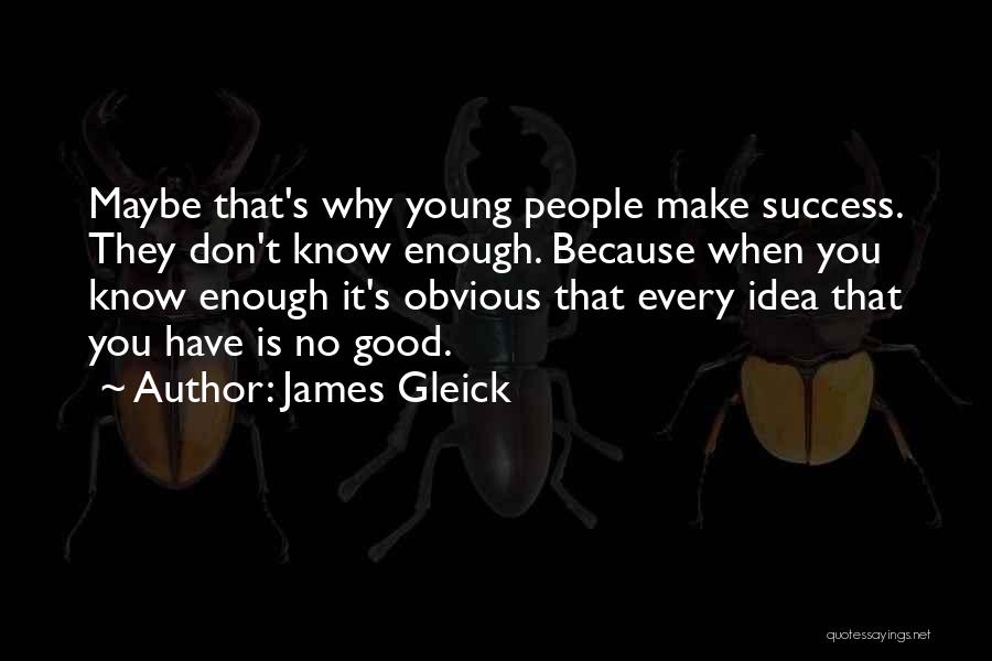 James Gleick Quotes: Maybe That's Why Young People Make Success. They Don't Know Enough. Because When You Know Enough It's Obvious That Every