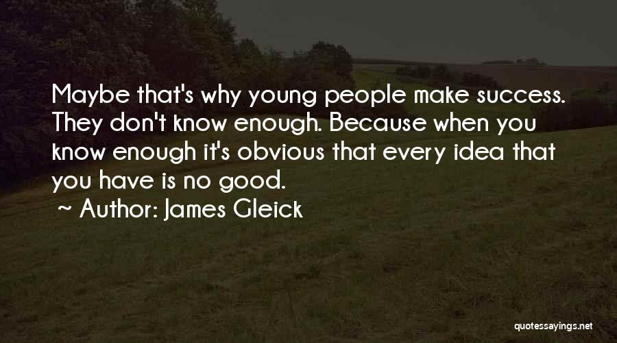 James Gleick Quotes: Maybe That's Why Young People Make Success. They Don't Know Enough. Because When You Know Enough It's Obvious That Every