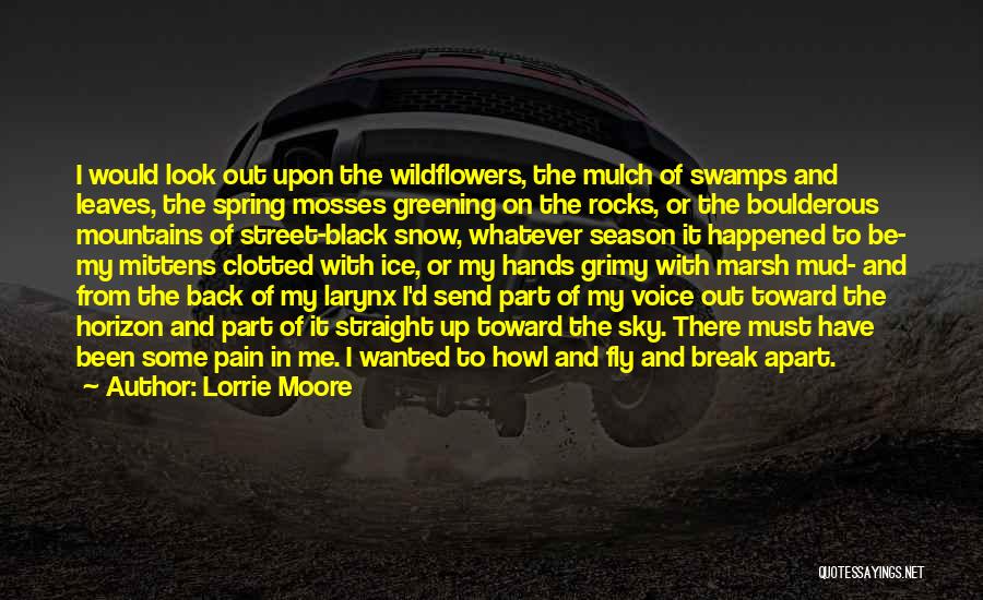 Lorrie Moore Quotes: I Would Look Out Upon The Wildflowers, The Mulch Of Swamps And Leaves, The Spring Mosses Greening On The Rocks,