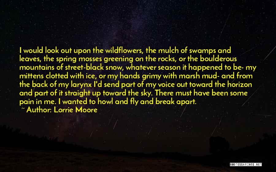 Lorrie Moore Quotes: I Would Look Out Upon The Wildflowers, The Mulch Of Swamps And Leaves, The Spring Mosses Greening On The Rocks,