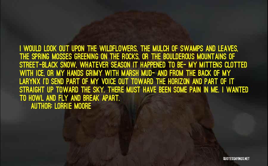 Lorrie Moore Quotes: I Would Look Out Upon The Wildflowers, The Mulch Of Swamps And Leaves, The Spring Mosses Greening On The Rocks,