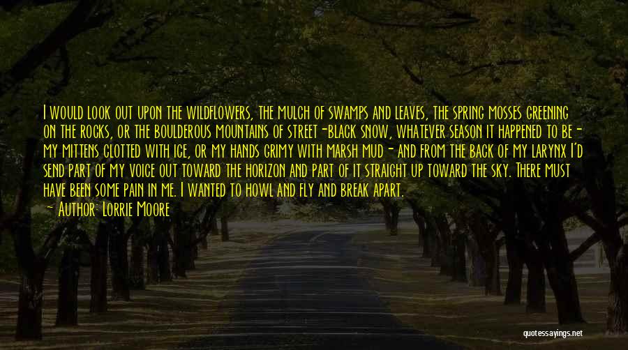 Lorrie Moore Quotes: I Would Look Out Upon The Wildflowers, The Mulch Of Swamps And Leaves, The Spring Mosses Greening On The Rocks,