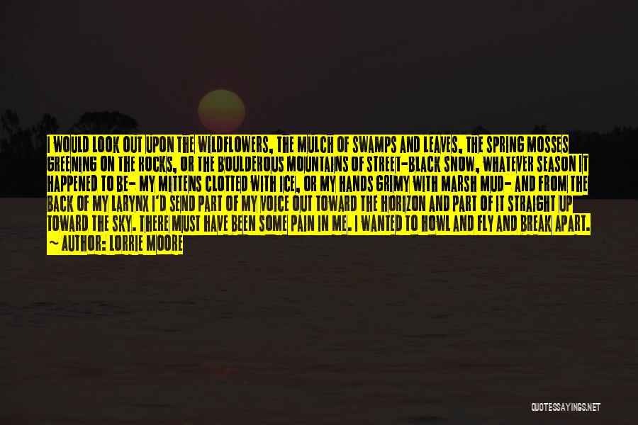 Lorrie Moore Quotes: I Would Look Out Upon The Wildflowers, The Mulch Of Swamps And Leaves, The Spring Mosses Greening On The Rocks,