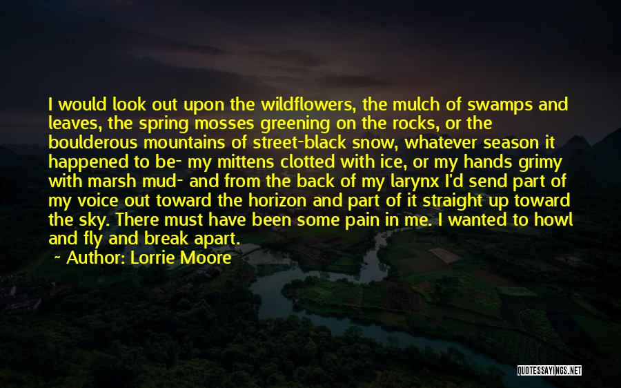 Lorrie Moore Quotes: I Would Look Out Upon The Wildflowers, The Mulch Of Swamps And Leaves, The Spring Mosses Greening On The Rocks,