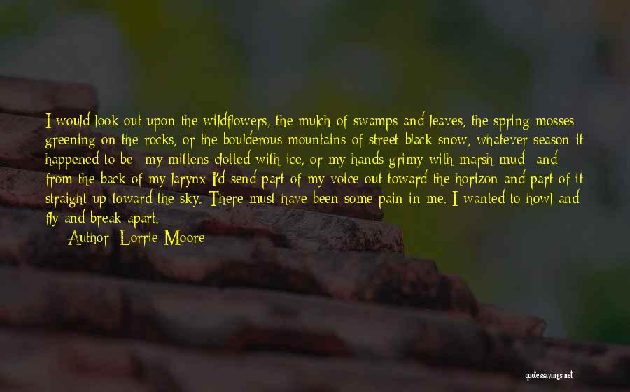 Lorrie Moore Quotes: I Would Look Out Upon The Wildflowers, The Mulch Of Swamps And Leaves, The Spring Mosses Greening On The Rocks,