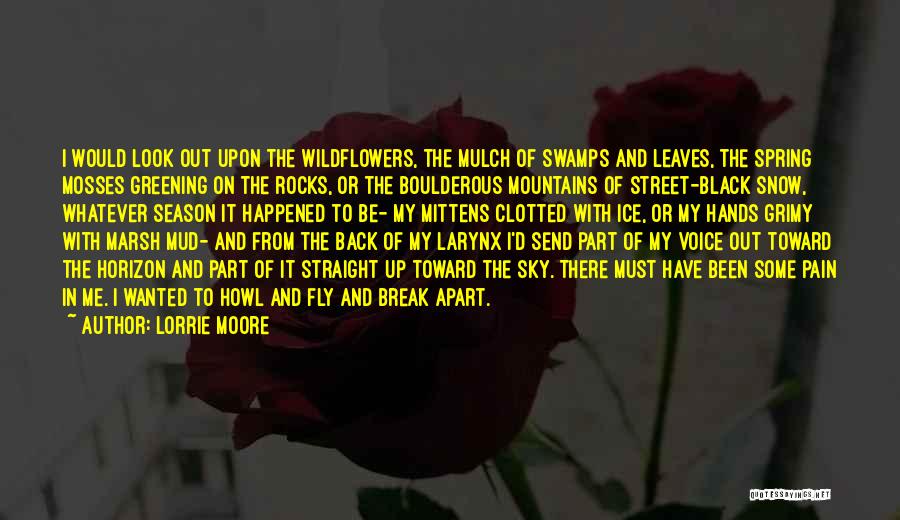 Lorrie Moore Quotes: I Would Look Out Upon The Wildflowers, The Mulch Of Swamps And Leaves, The Spring Mosses Greening On The Rocks,