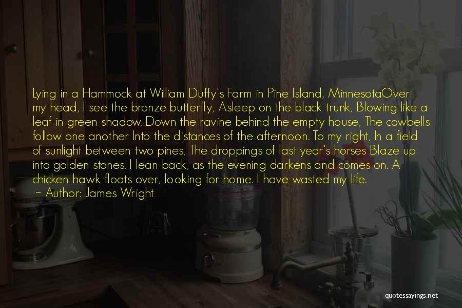 James Wright Quotes: Lying In A Hammock At William Duffy's Farm In Pine Island, Minnesotaover My Head, I See The Bronze Butterfly, Asleep