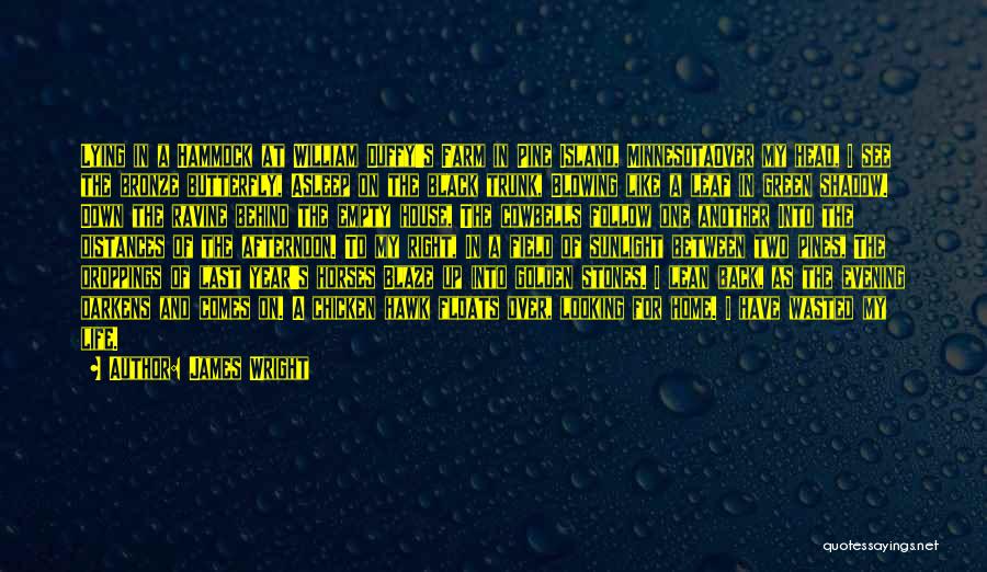James Wright Quotes: Lying In A Hammock At William Duffy's Farm In Pine Island, Minnesotaover My Head, I See The Bronze Butterfly, Asleep