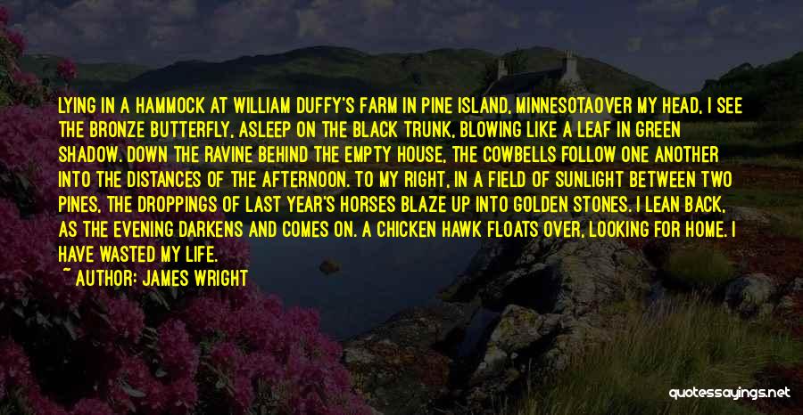 James Wright Quotes: Lying In A Hammock At William Duffy's Farm In Pine Island, Minnesotaover My Head, I See The Bronze Butterfly, Asleep