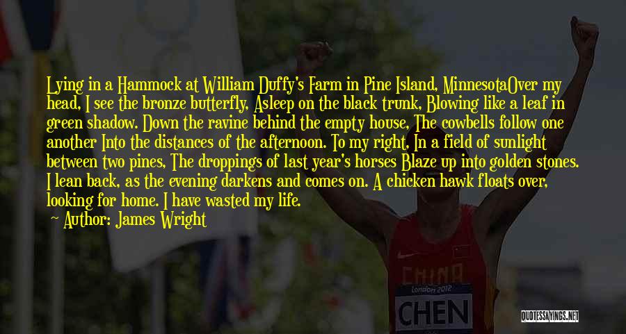 James Wright Quotes: Lying In A Hammock At William Duffy's Farm In Pine Island, Minnesotaover My Head, I See The Bronze Butterfly, Asleep