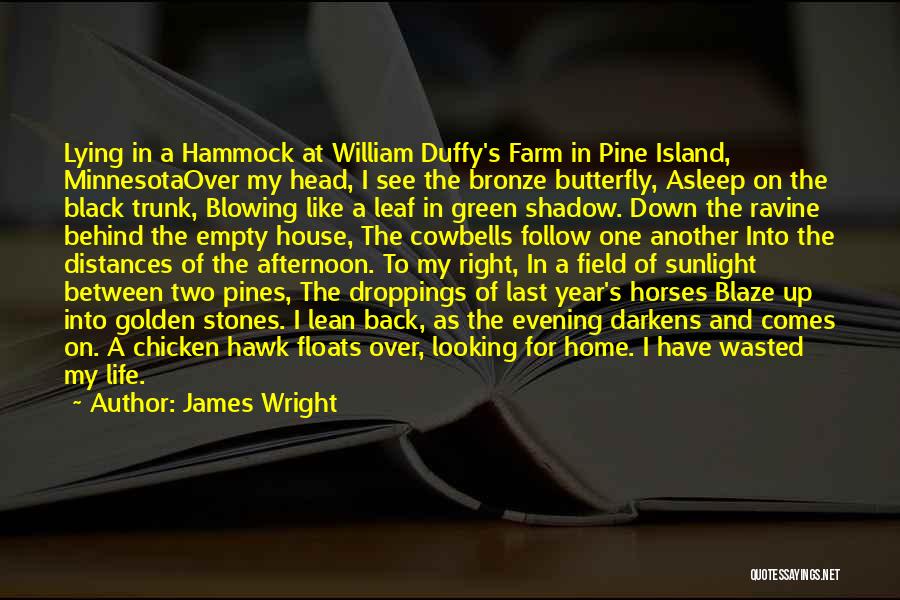 James Wright Quotes: Lying In A Hammock At William Duffy's Farm In Pine Island, Minnesotaover My Head, I See The Bronze Butterfly, Asleep