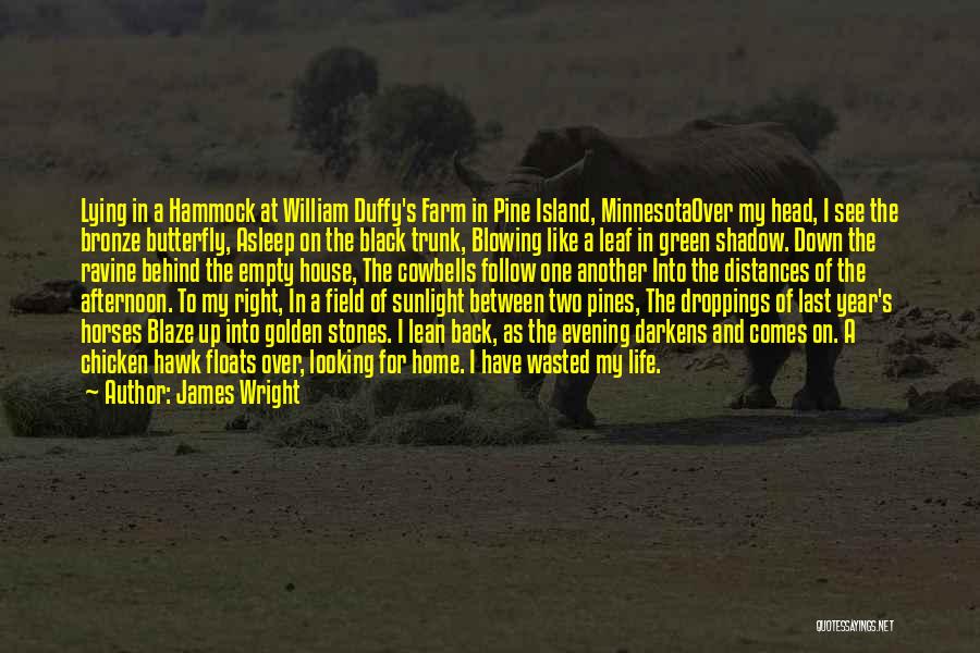 James Wright Quotes: Lying In A Hammock At William Duffy's Farm In Pine Island, Minnesotaover My Head, I See The Bronze Butterfly, Asleep