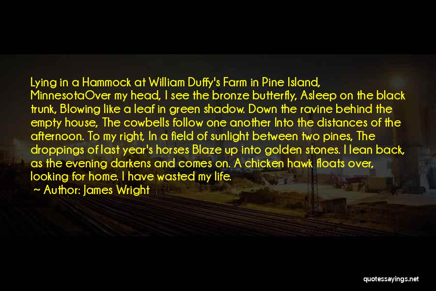 James Wright Quotes: Lying In A Hammock At William Duffy's Farm In Pine Island, Minnesotaover My Head, I See The Bronze Butterfly, Asleep