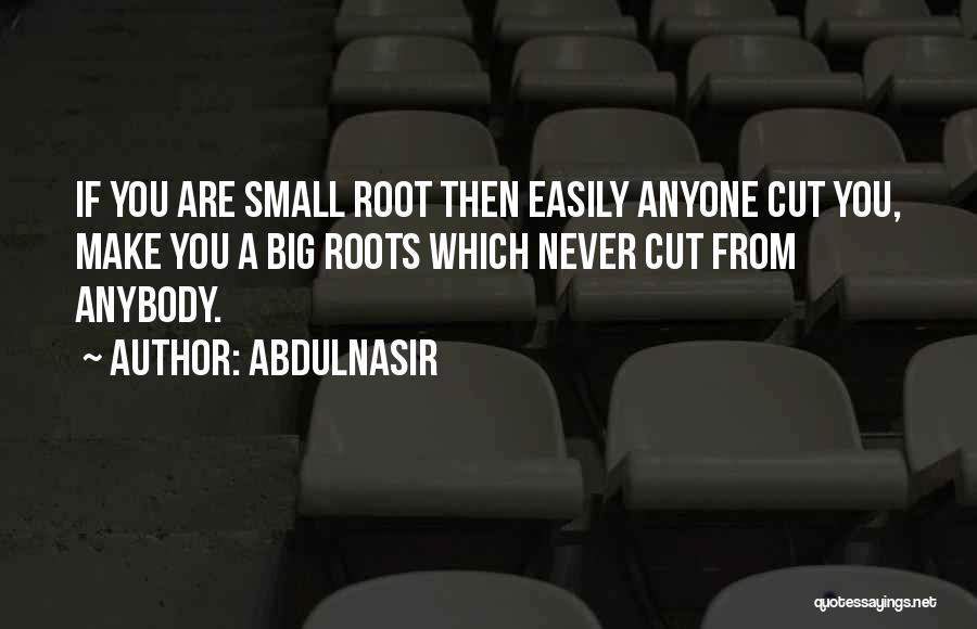 AbdulNasir Quotes: If You Are Small Root Then Easily Anyone Cut You, Make You A Big Roots Which Never Cut From Anybody.