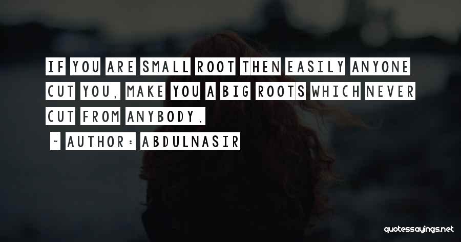 AbdulNasir Quotes: If You Are Small Root Then Easily Anyone Cut You, Make You A Big Roots Which Never Cut From Anybody.