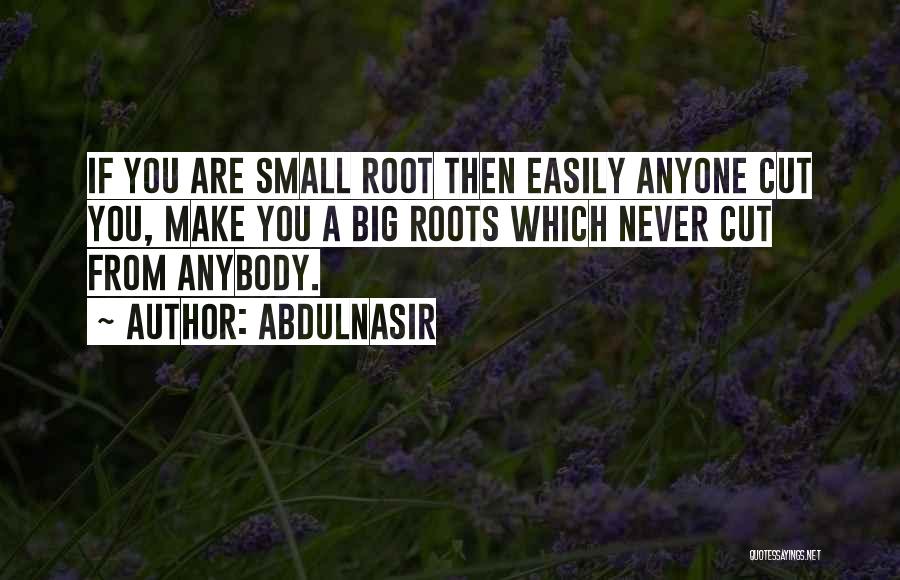 AbdulNasir Quotes: If You Are Small Root Then Easily Anyone Cut You, Make You A Big Roots Which Never Cut From Anybody.