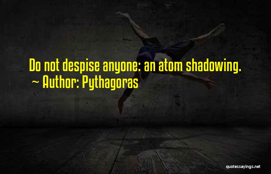 Pythagoras Quotes: Do Not Despise Anyone: An Atom Shadowing.