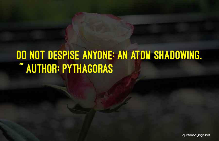 Pythagoras Quotes: Do Not Despise Anyone: An Atom Shadowing.