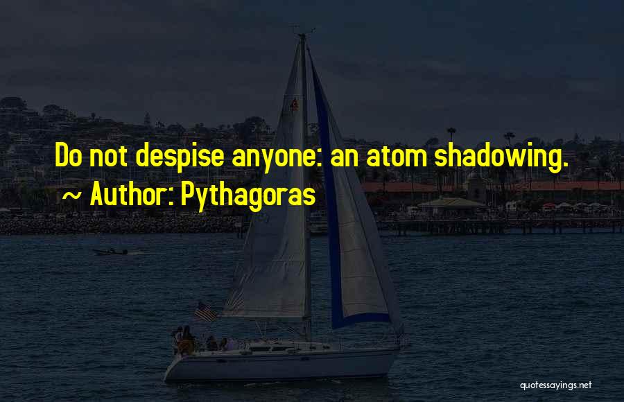 Pythagoras Quotes: Do Not Despise Anyone: An Atom Shadowing.