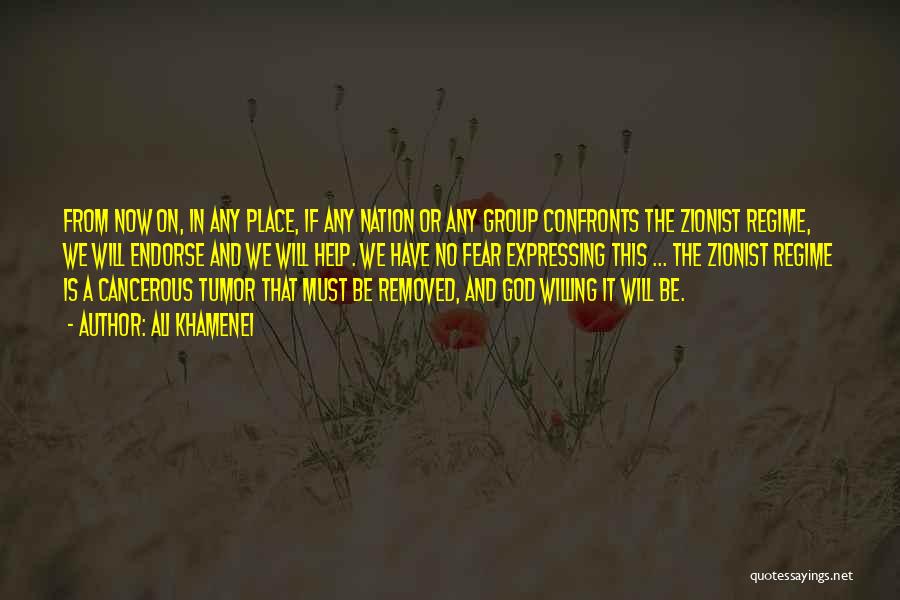 Ali Khamenei Quotes: From Now On, In Any Place, If Any Nation Or Any Group Confronts The Zionist Regime, We Will Endorse And