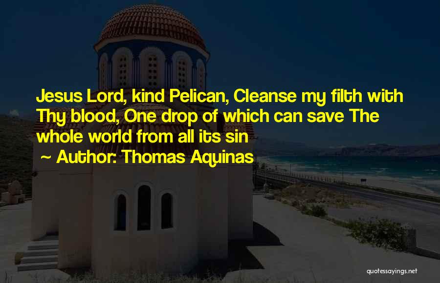 Thomas Aquinas Quotes: Jesus Lord, Kind Pelican, Cleanse My Filth With Thy Blood, One Drop Of Which Can Save The Whole World From