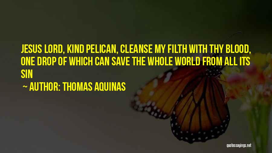 Thomas Aquinas Quotes: Jesus Lord, Kind Pelican, Cleanse My Filth With Thy Blood, One Drop Of Which Can Save The Whole World From