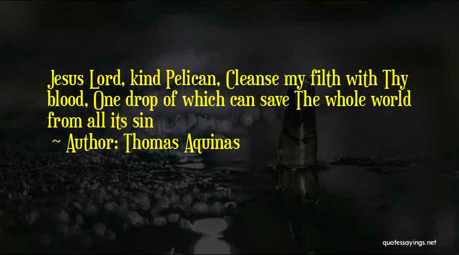 Thomas Aquinas Quotes: Jesus Lord, Kind Pelican, Cleanse My Filth With Thy Blood, One Drop Of Which Can Save The Whole World From