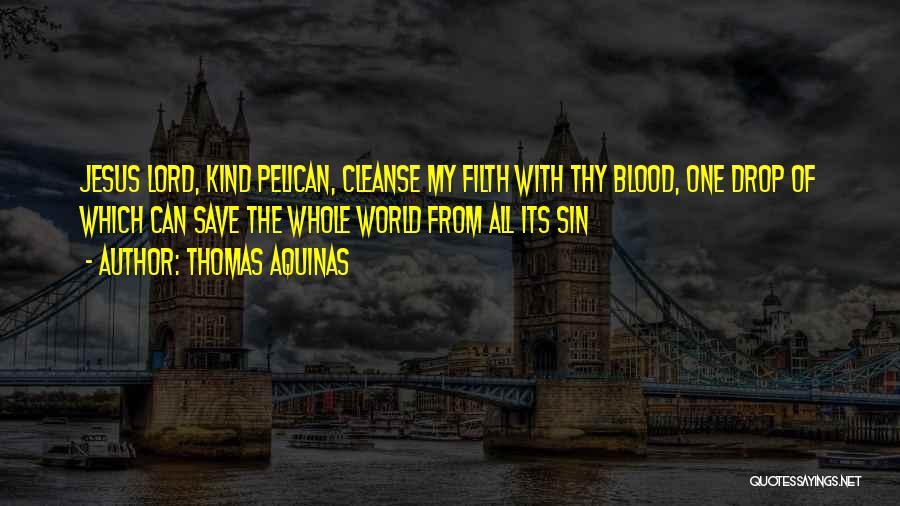 Thomas Aquinas Quotes: Jesus Lord, Kind Pelican, Cleanse My Filth With Thy Blood, One Drop Of Which Can Save The Whole World From